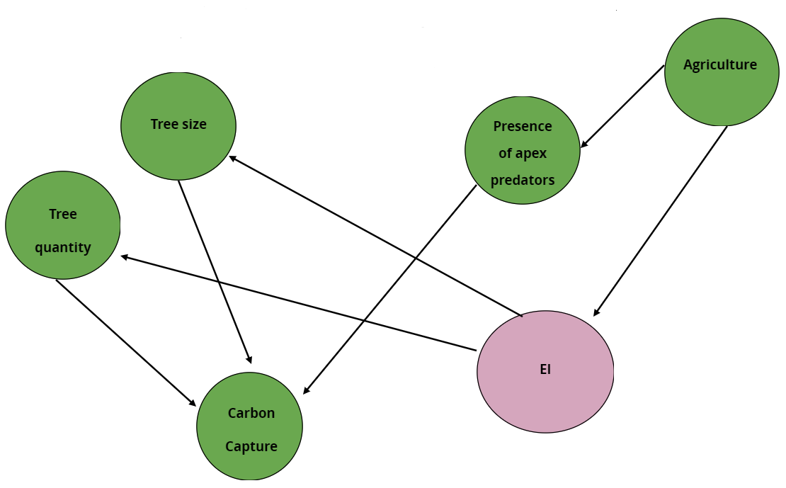 \ BNs allow to propose a complex criss-cross structure for relations between variables.