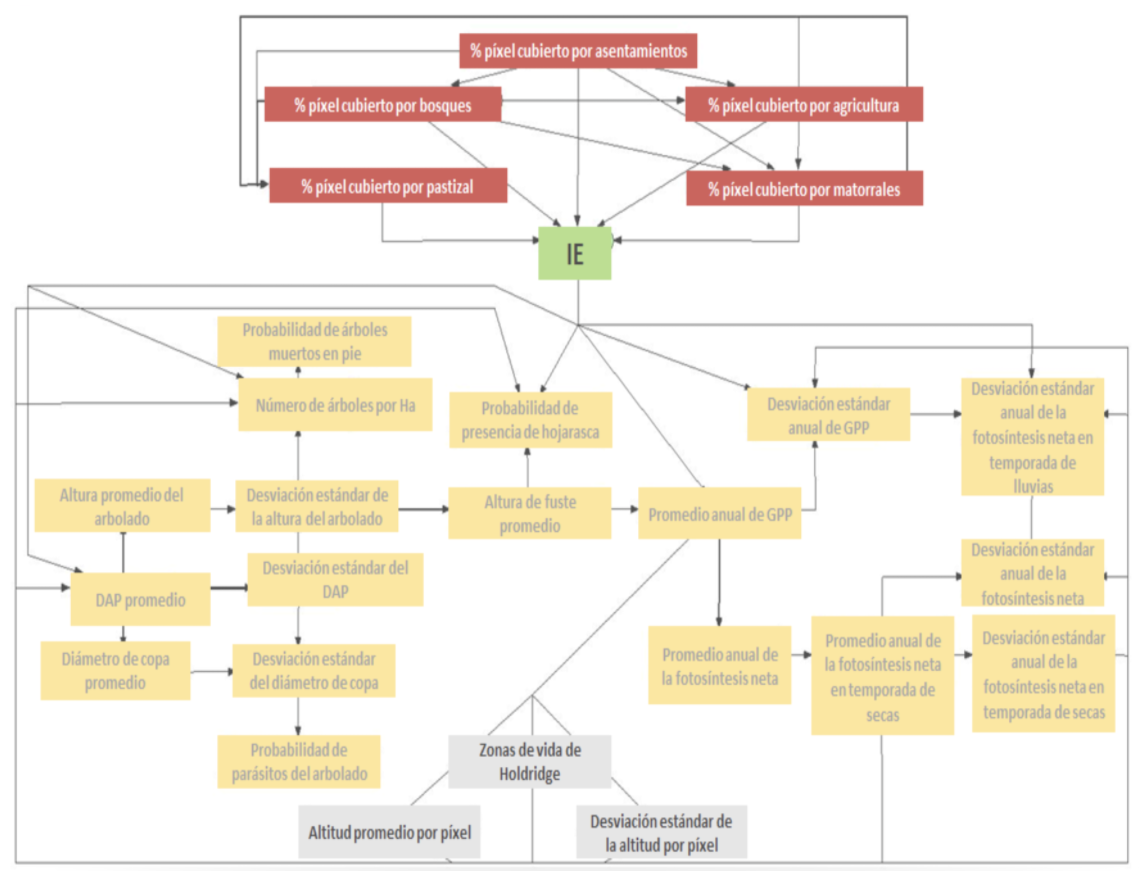 \ Our current IE model.