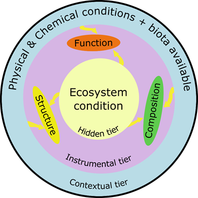 \ The ecosystem integrity three-tier model.